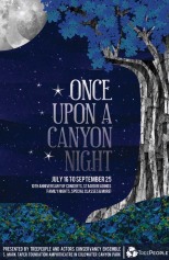 Once Upon a Canyon Night: Poster