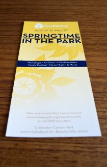 Springtime in the Park: Rack Card (Front)